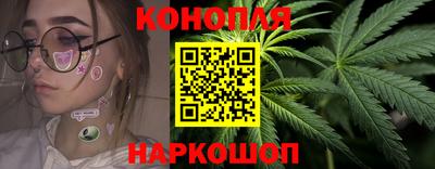 прущие грибы Можга